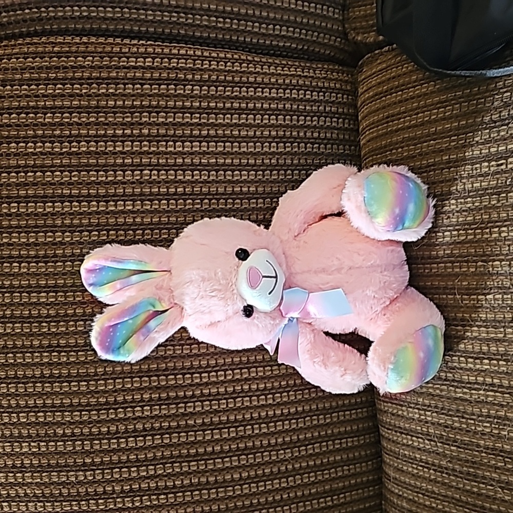 Kellytoy Pink and Rainbow Bunny